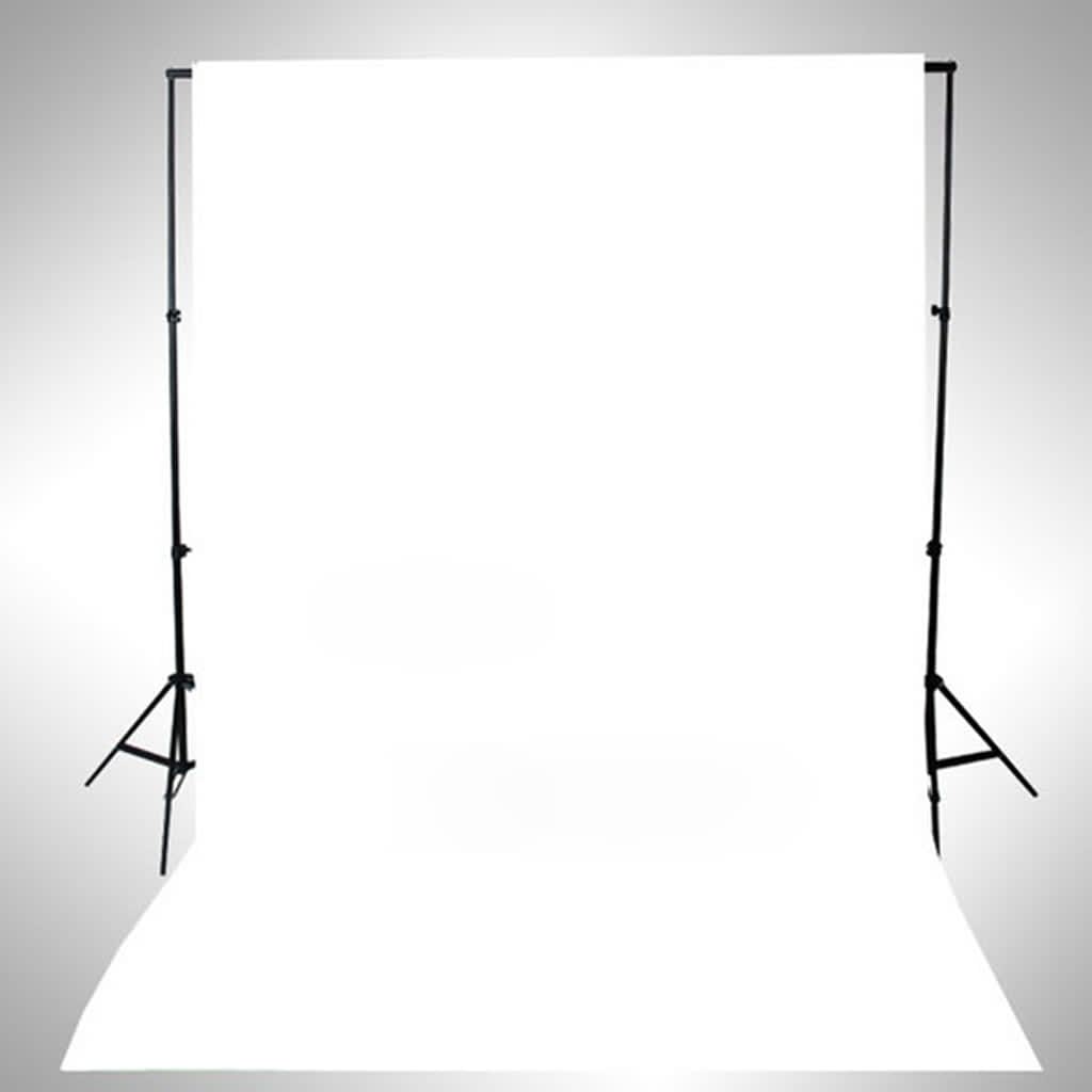 vidaXL Fotostudio-Set mit Studiolampe und Hintergrund