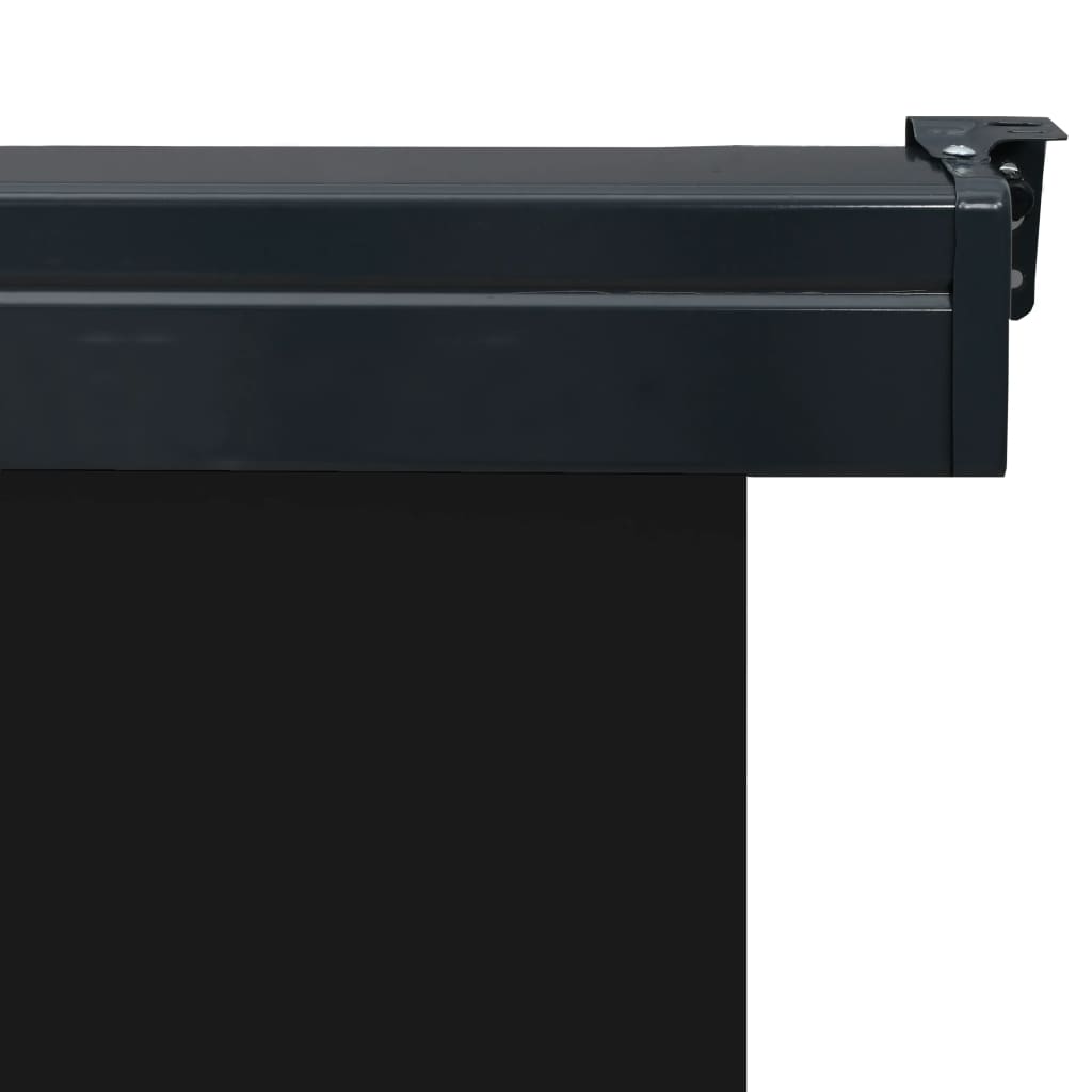 vidaXL Balkon-Seitenmarkise 160 × 250 cm Schwarz
