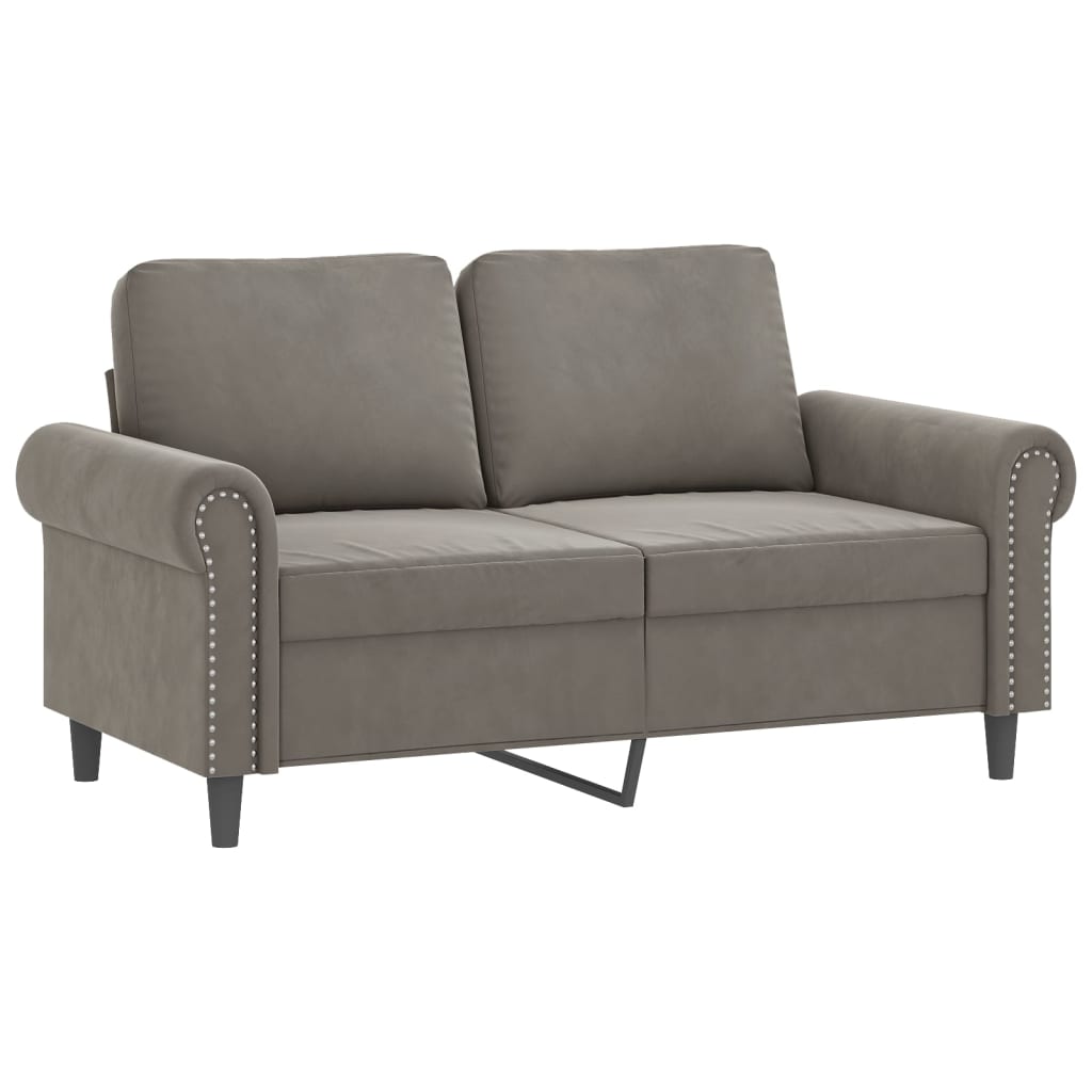 vidaXL 2-Sitzer-Sofa mit Kissen Hellgrau 120 cm Samt