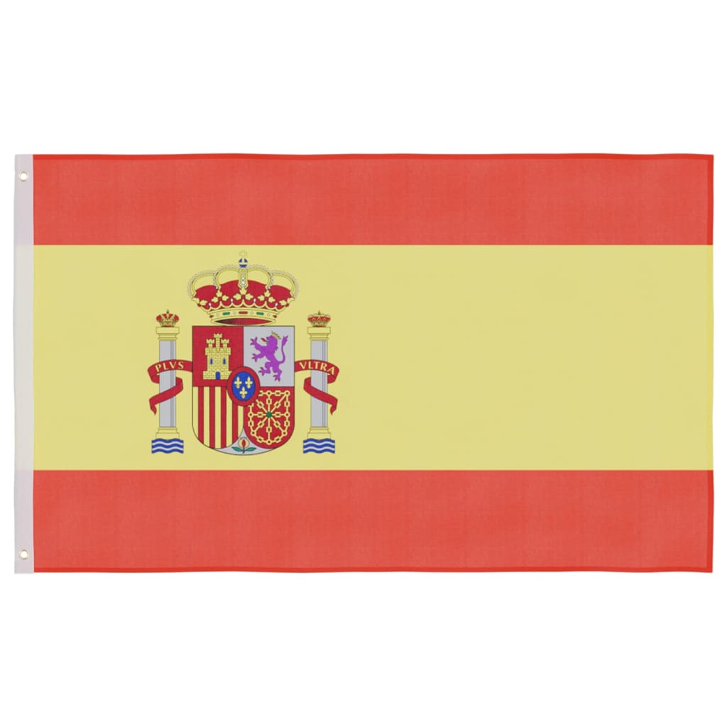 vidaXL Flagge Spaniens und Mast Aluminium 6 m
