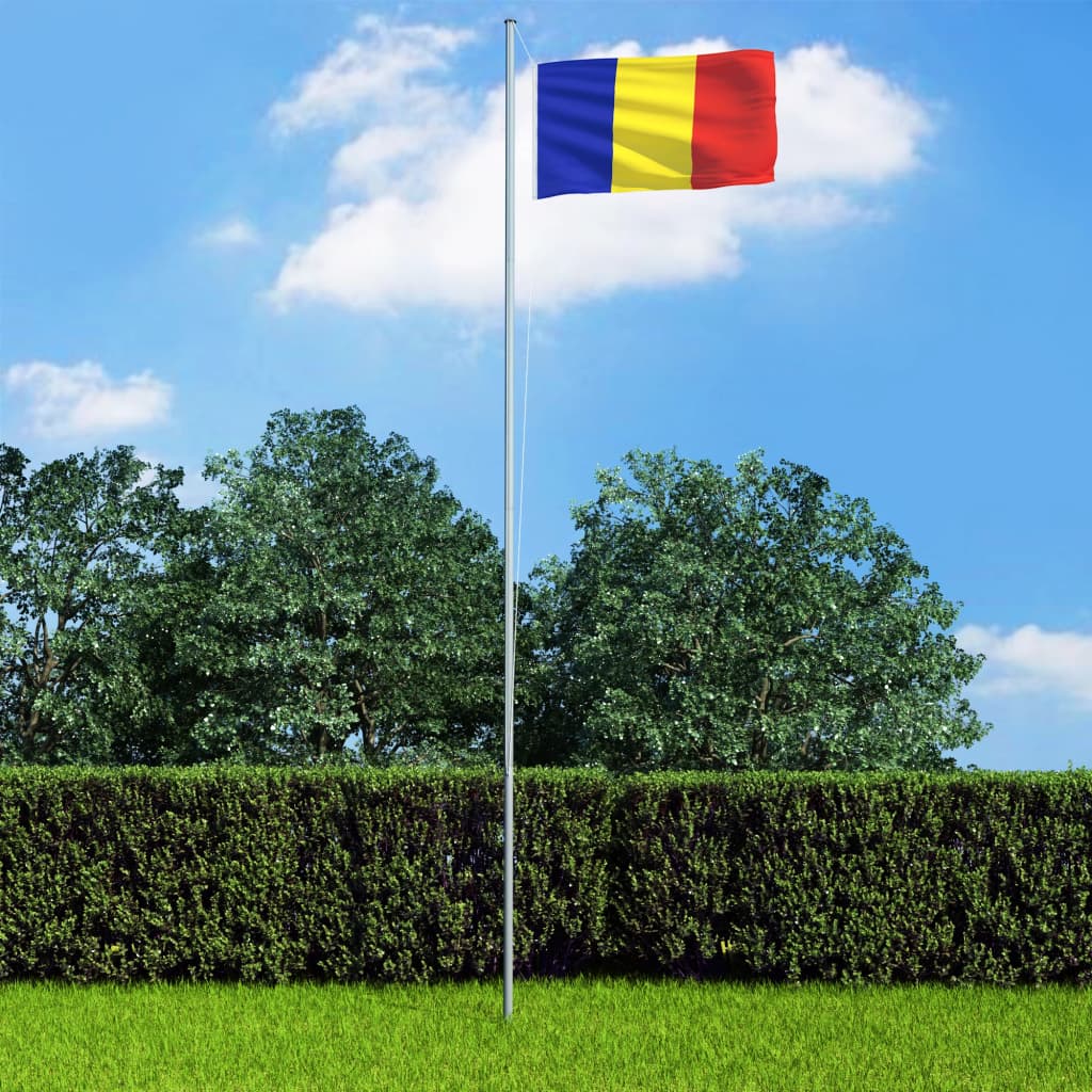 vidaXL Flagge Rumäniens und Mast Aluminium 6,2 m