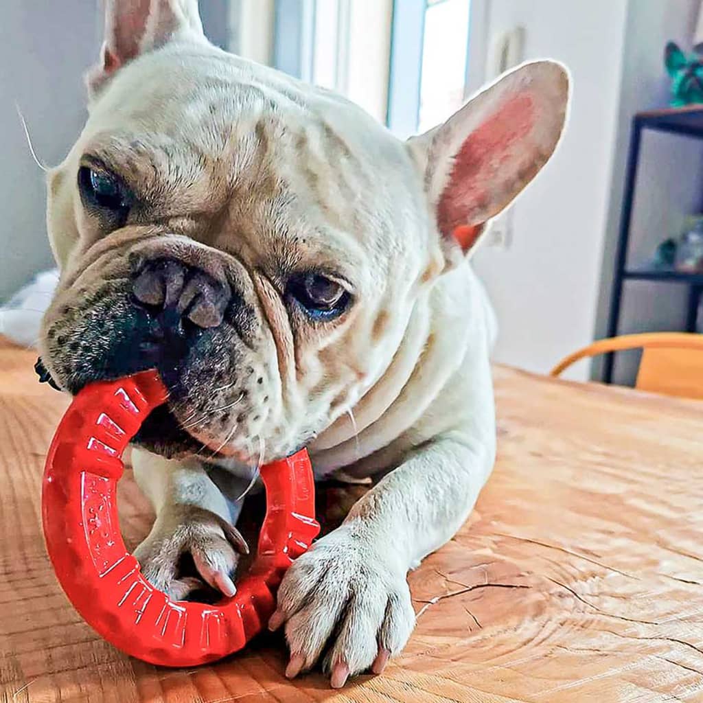 Ferplast Kauspielzeug für Hunde Smile Groß 20x18x4 cm Rot