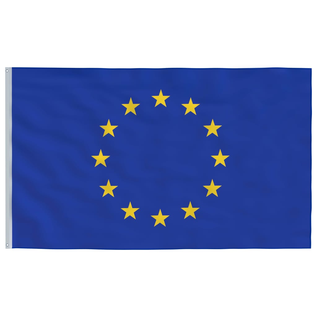 vidaXL Europaflagge und Mast Aluminium 6 m