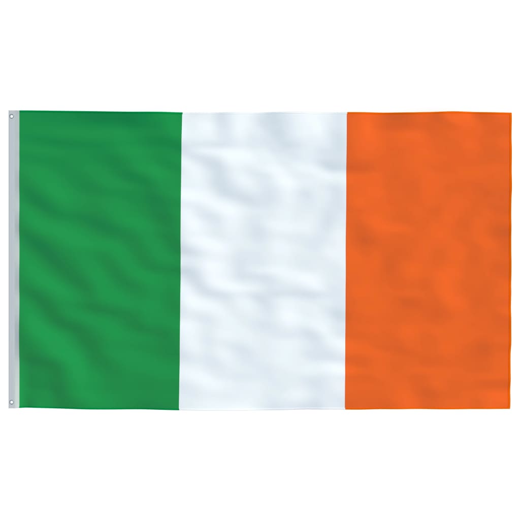 vidaXL Flagge Irlands und Mast Aluminium 4 m