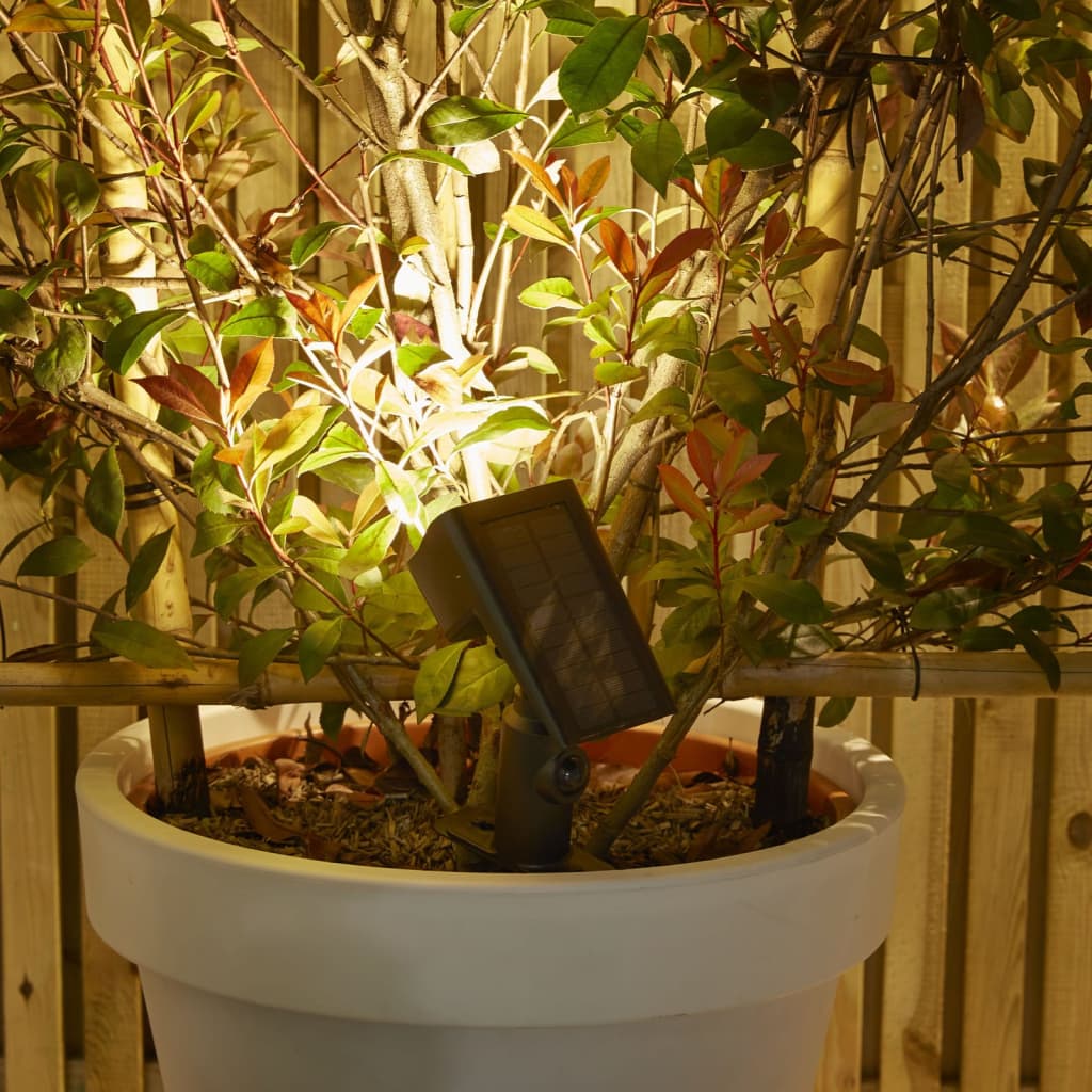 Luxform Intelligente LED-Garten-Solarleuchte Rosario Bewegungsmelder