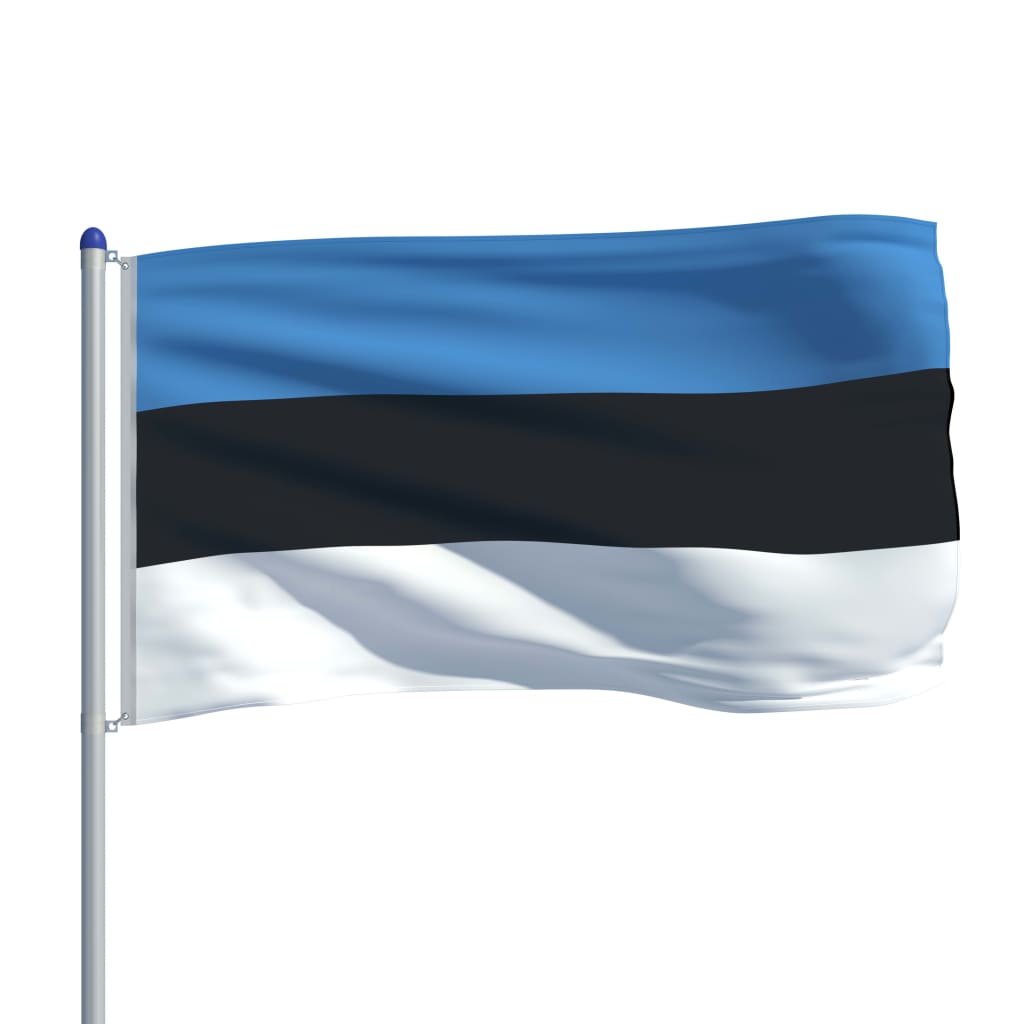 vidaXL Flagge Estlands und Mast Aluminium 6 m