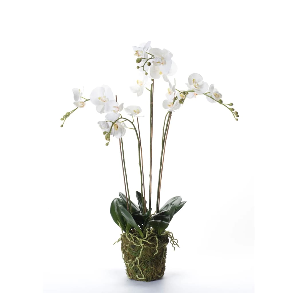 Emerald Kunstpflanze Phalaenopsis mit Moos Weiß 90 cm 20.355